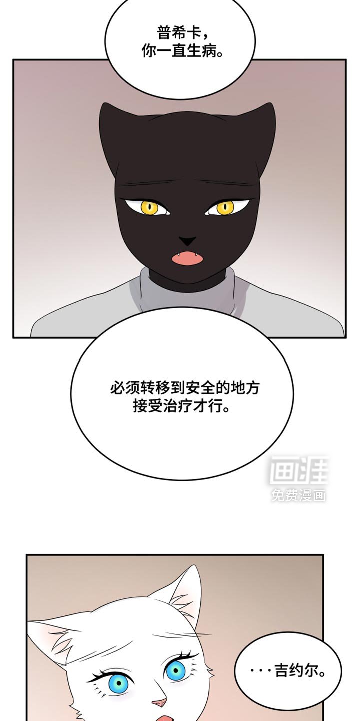第141章：【第三季】属于我们的财富