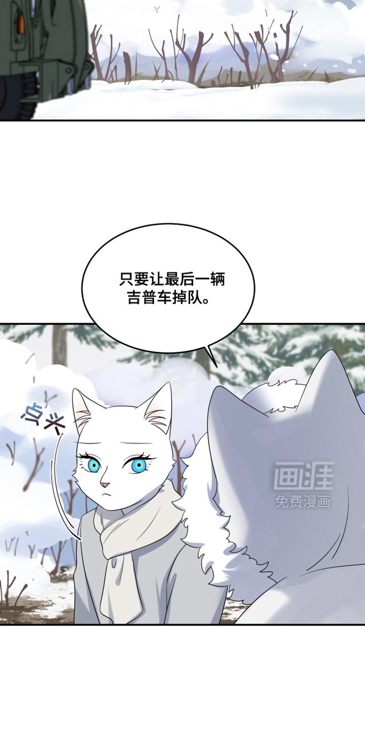 第141章：【第三季】属于我们的财富