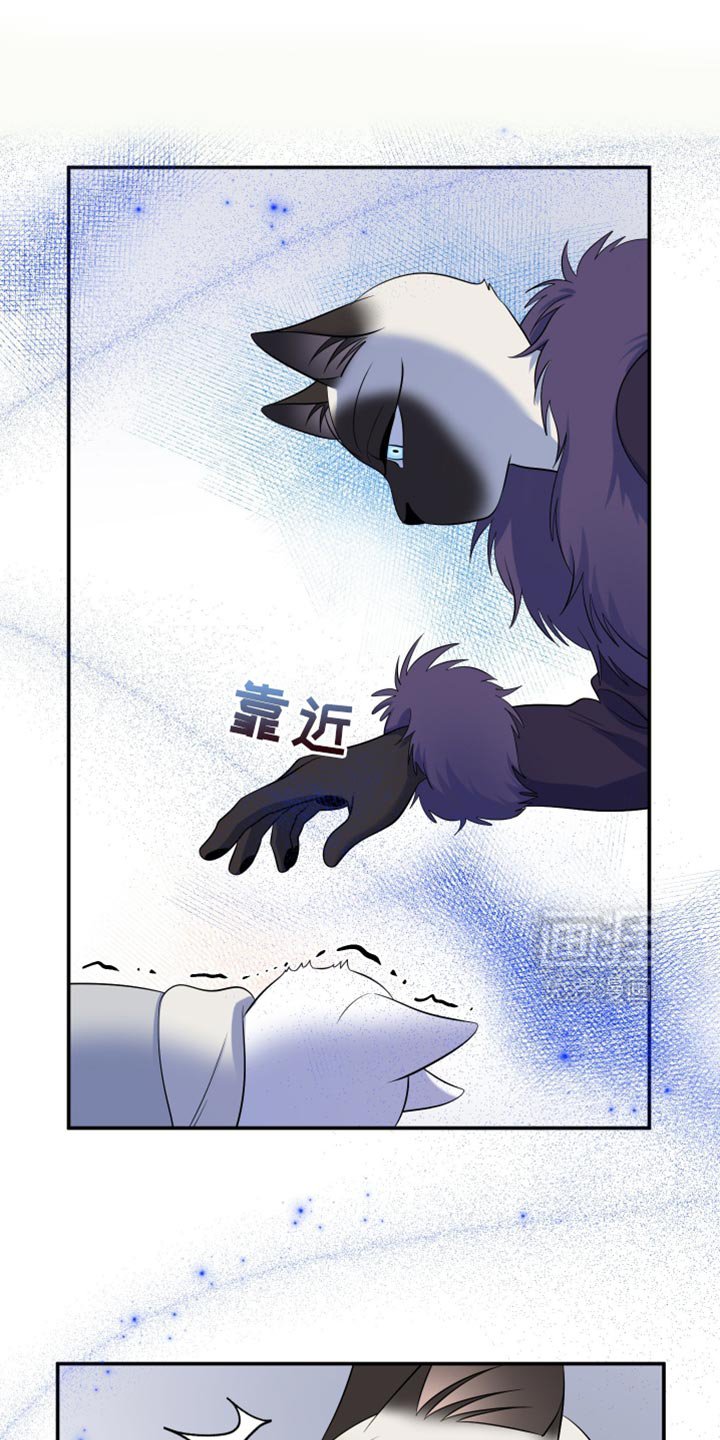 第143章：【第三季】带走他