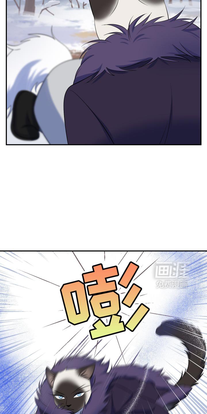 第143章：【第三季】带走他