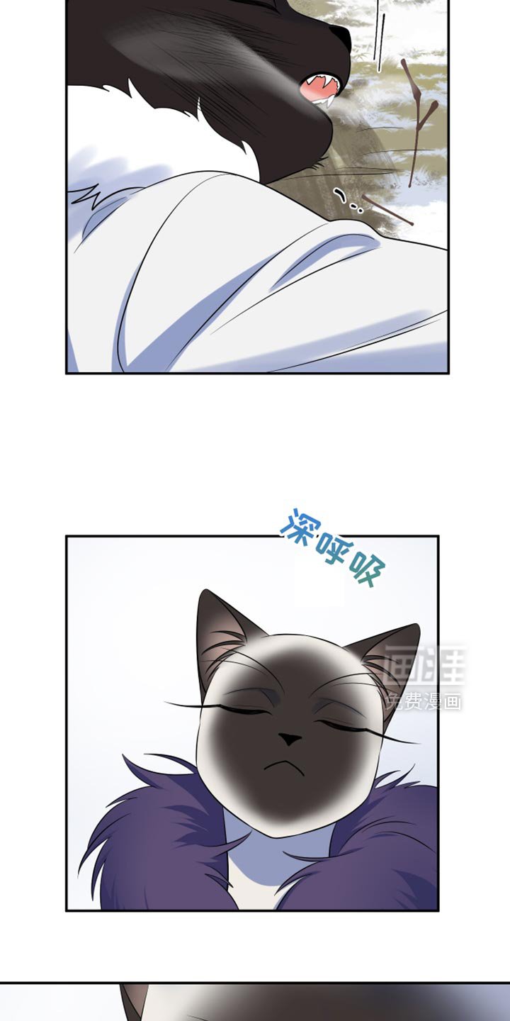 第143章：【第三季】带走他
