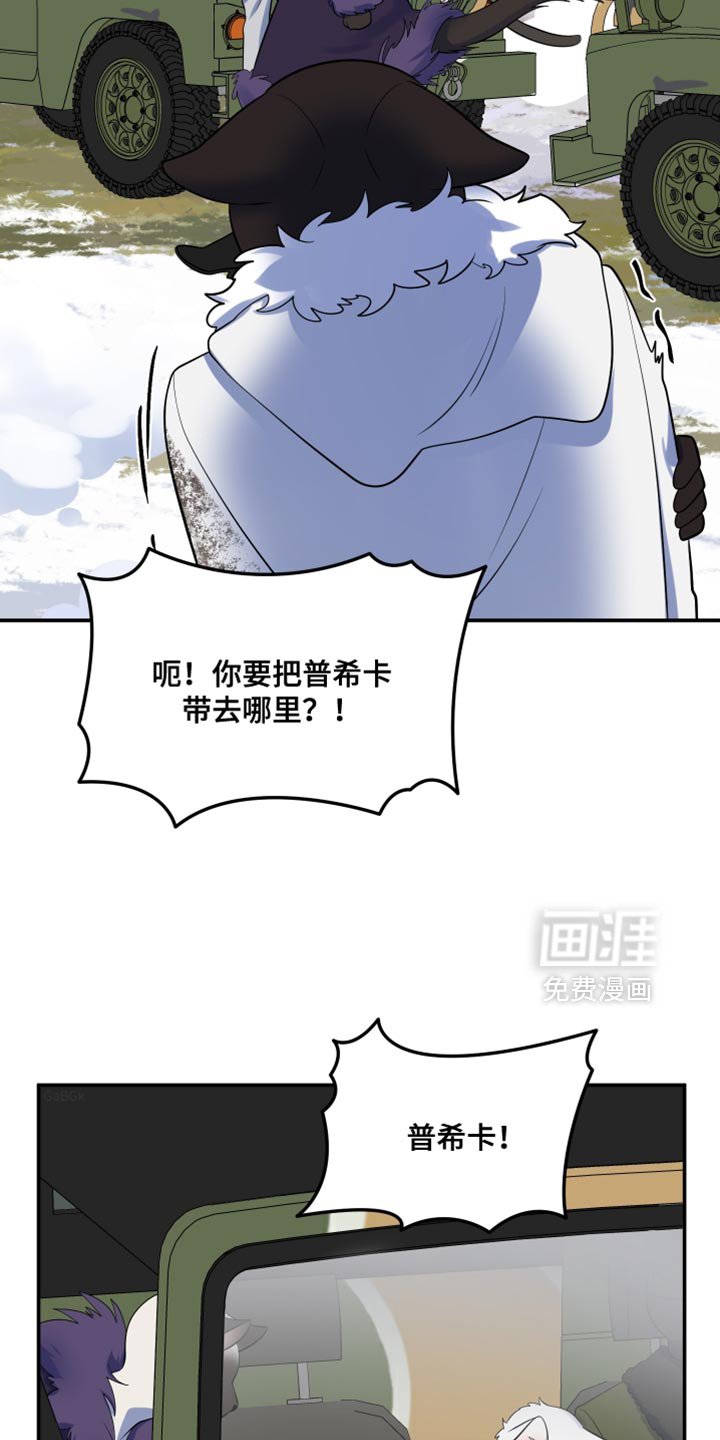 第143章：【第三季】带走他