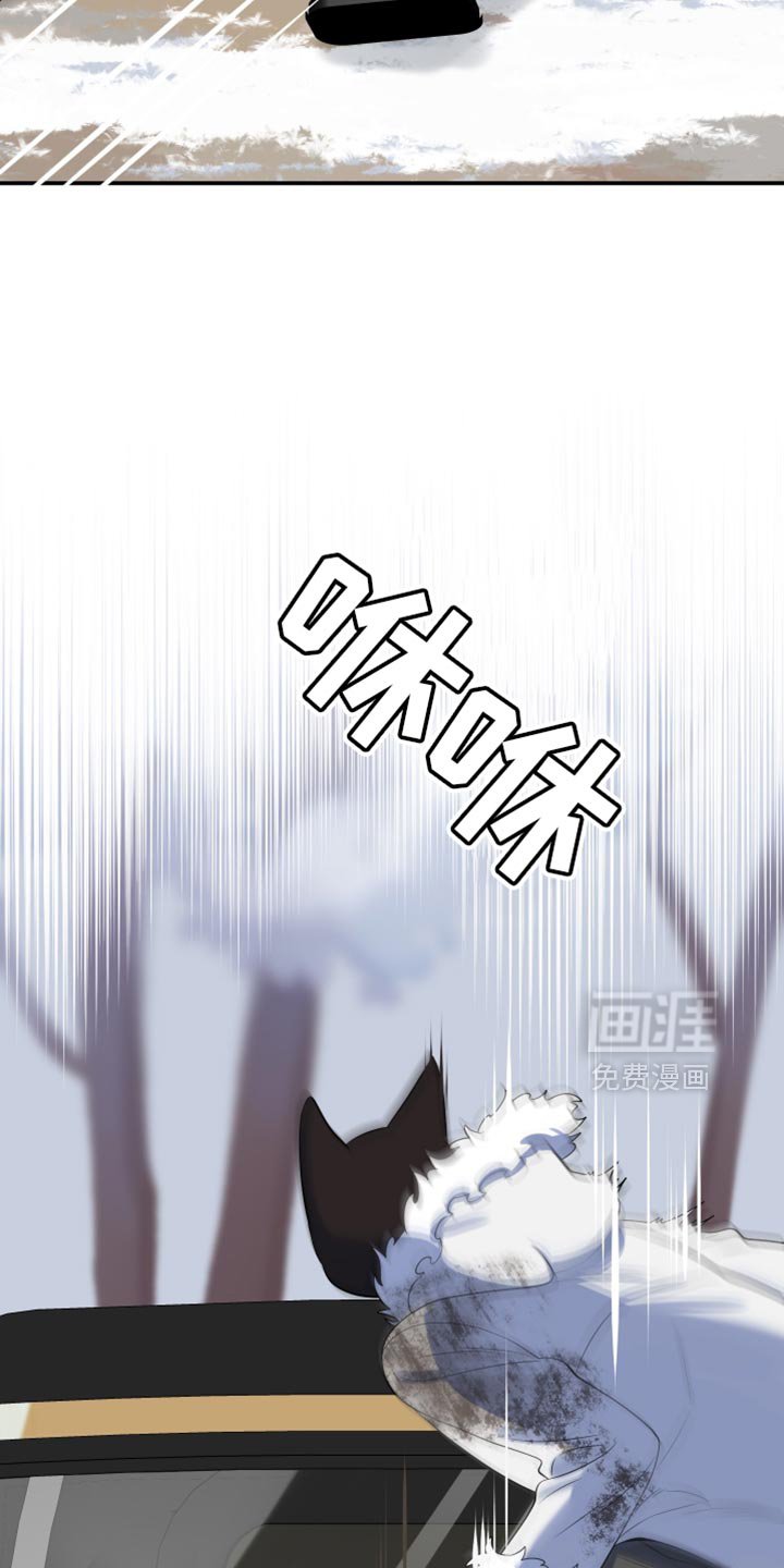 第143章：【第三季】带走他
