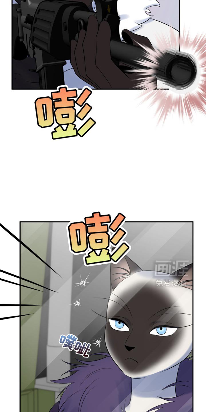 第143章：【第三季】带走他