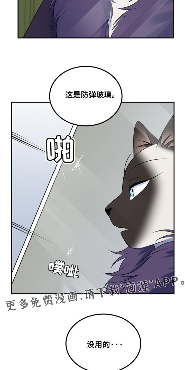 第143章：【第三季】带走他