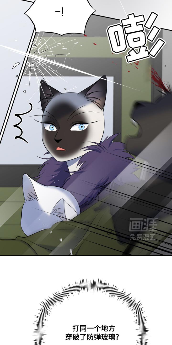 第144章：【第三季】我改变主意了