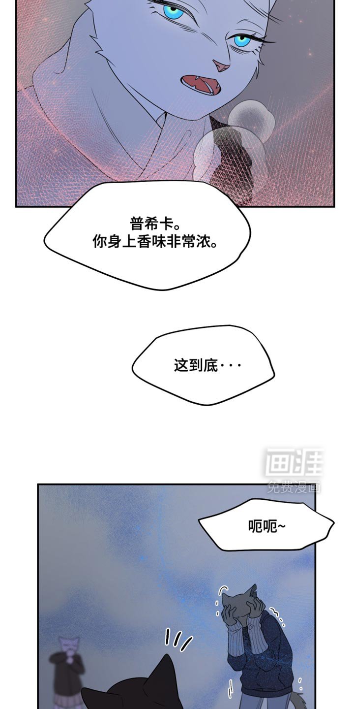 第144章：【第三季】我改变主意了