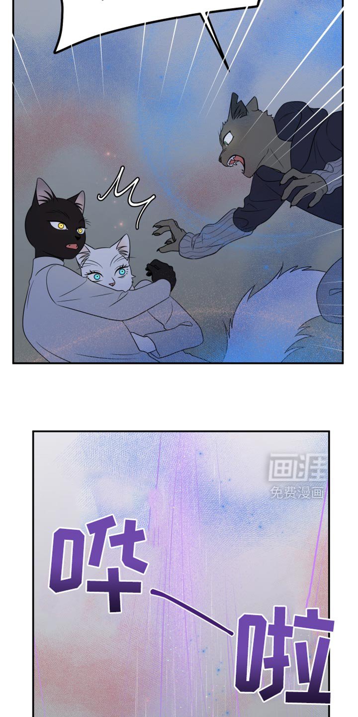 第144章：【第三季】我改变主意了