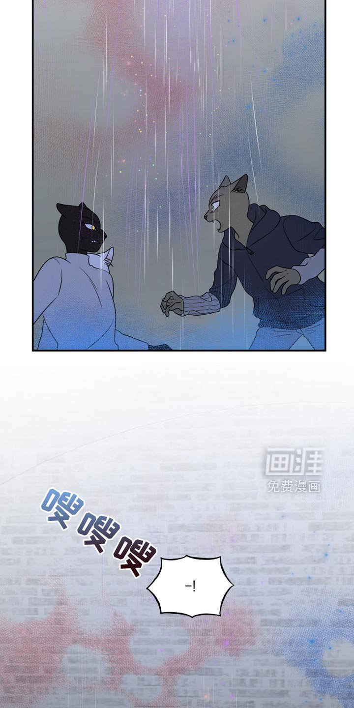第144章：【第三季】我改变主意了