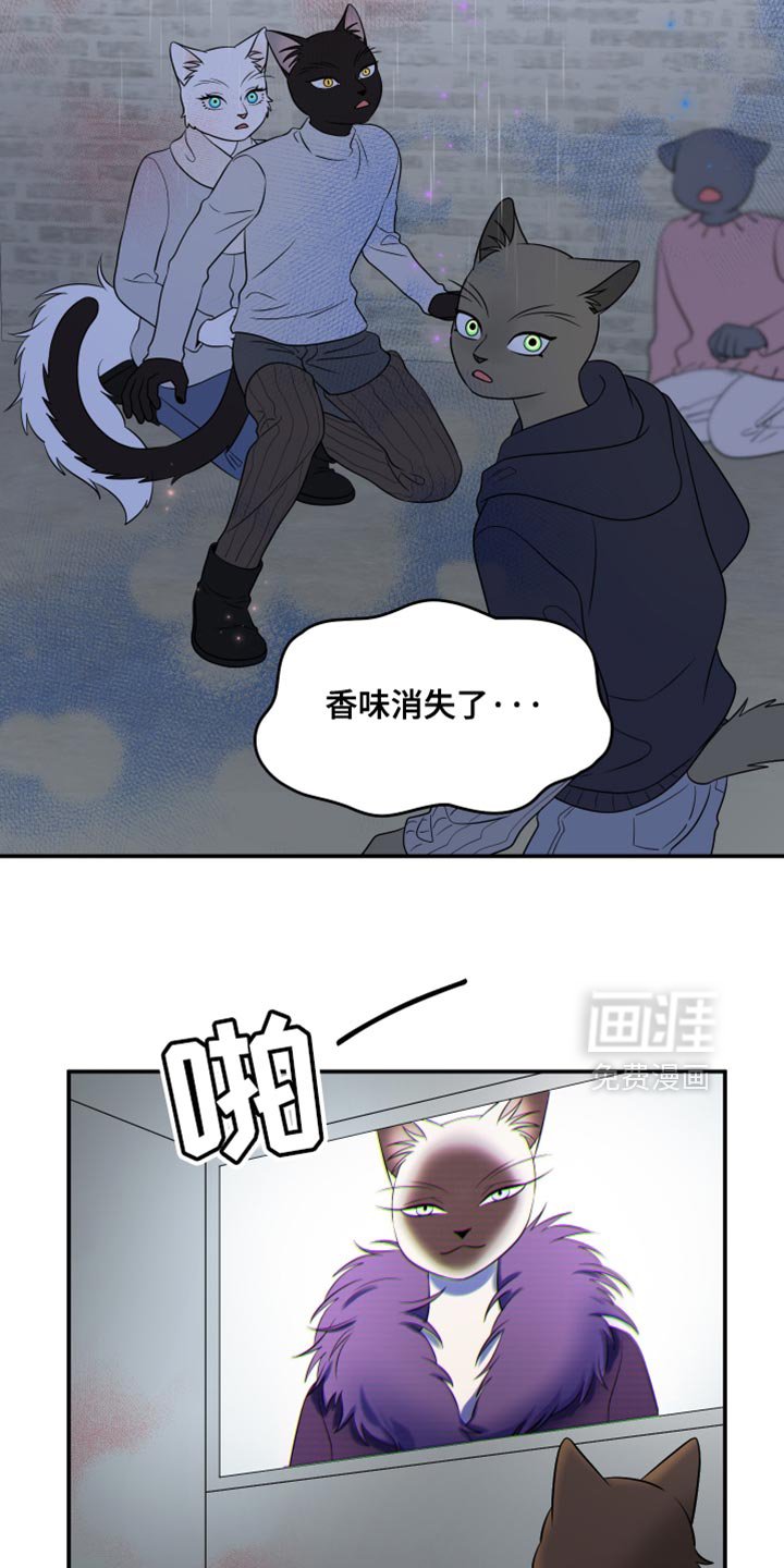 第144章：【第三季】我改变主意了