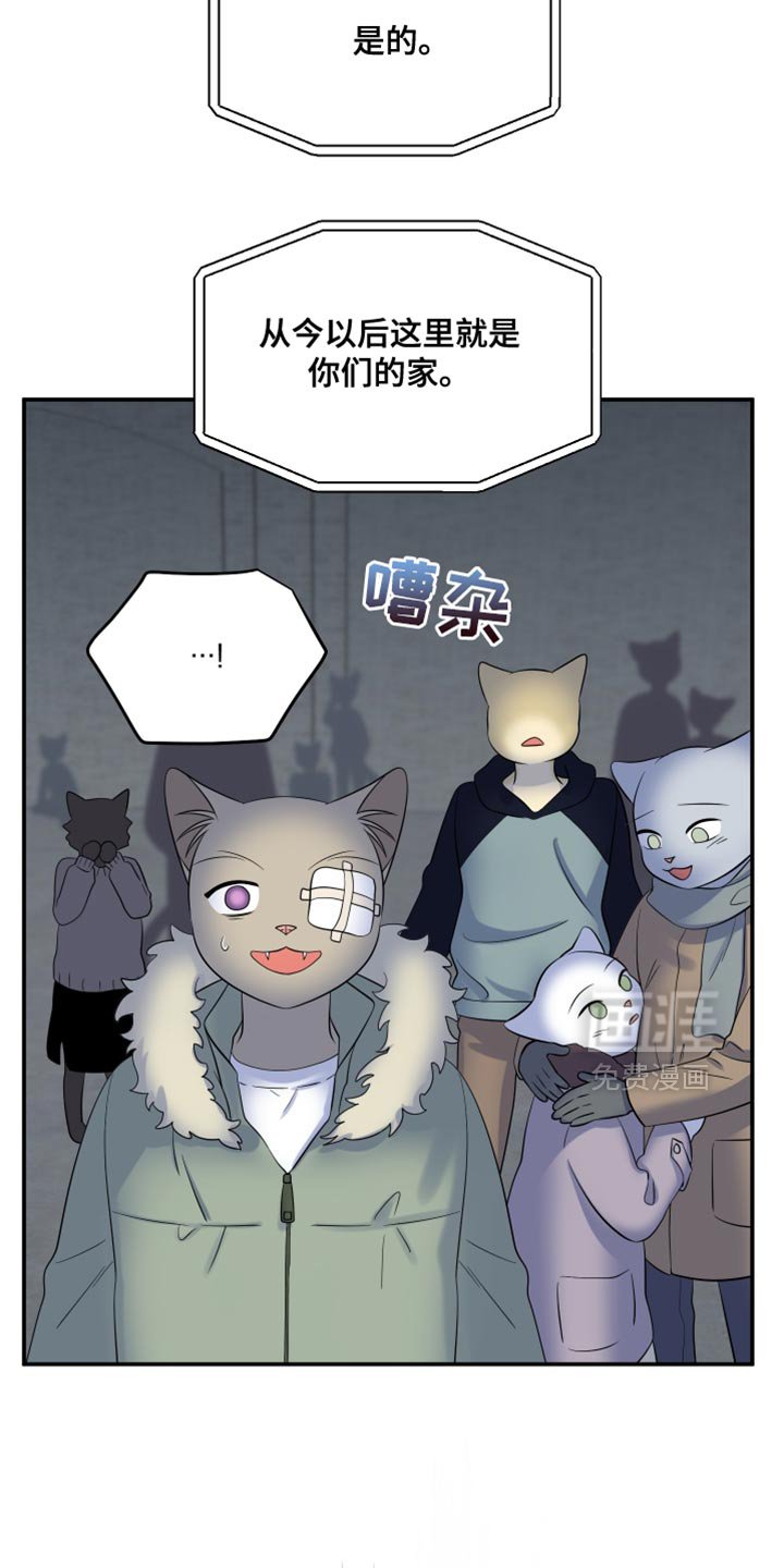 第145章：【第三季】你证明了你的价值