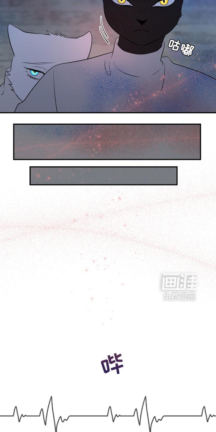 第145章：【第三季】你证明了你的价值