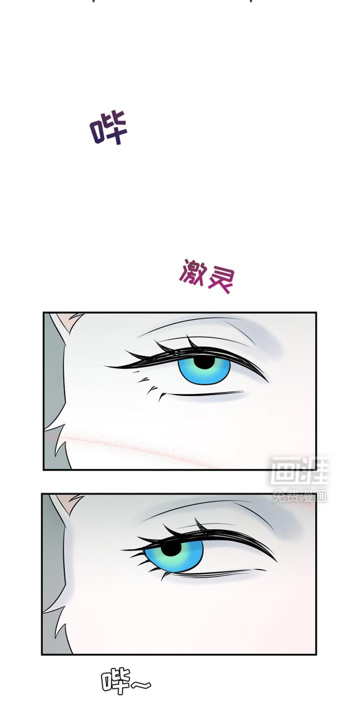 第145章：【第三季】你证明了你的价值