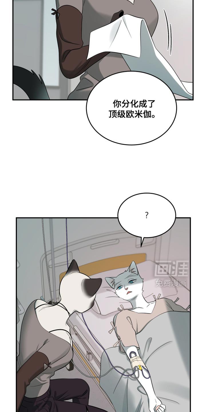 第145章：【第三季】你证明了你的价值