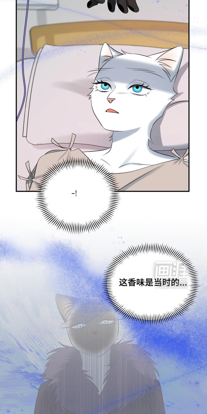 第146章：【第三季】我对你充满期待