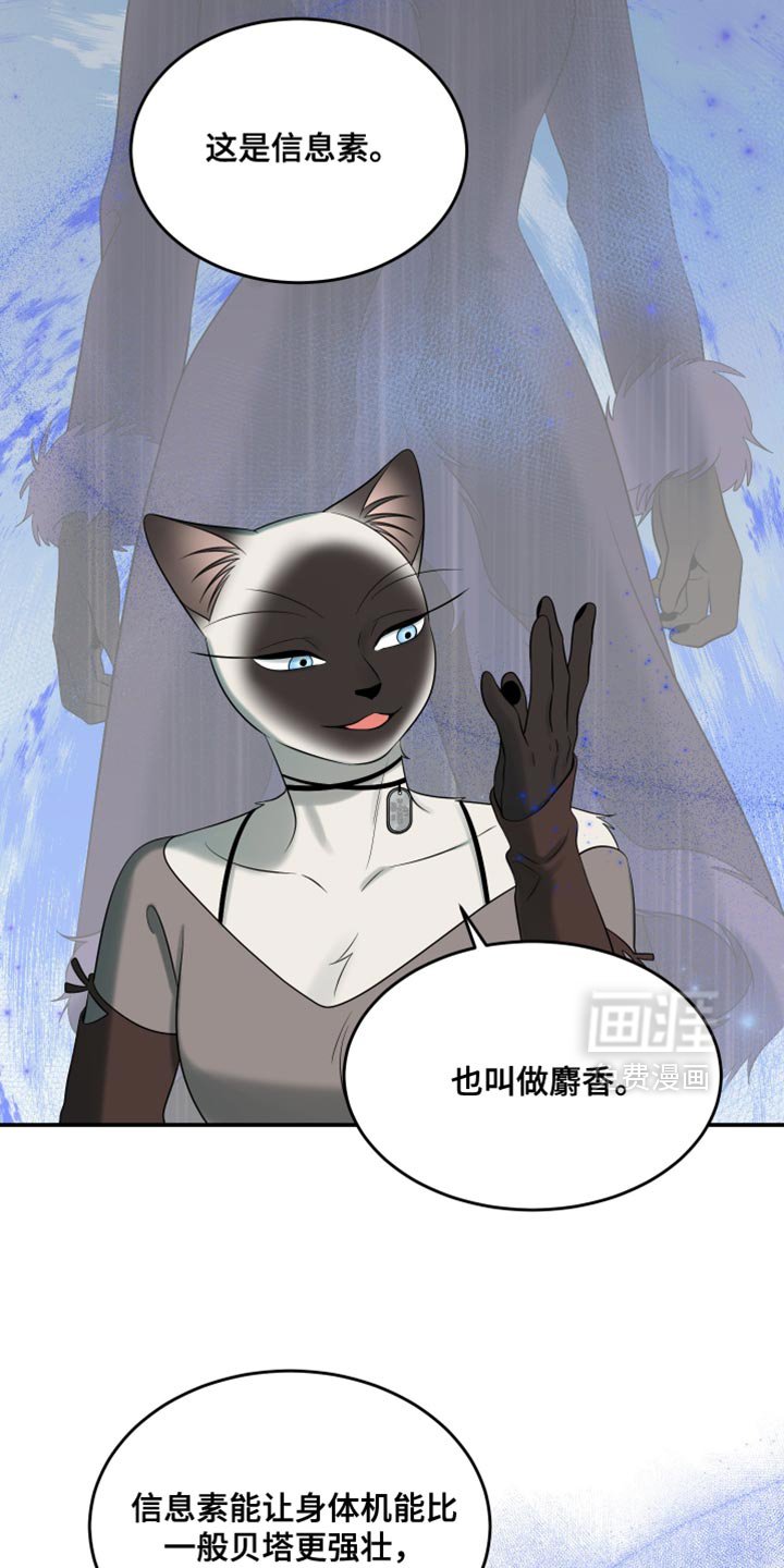 第146章：【第三季】我对你充满期待