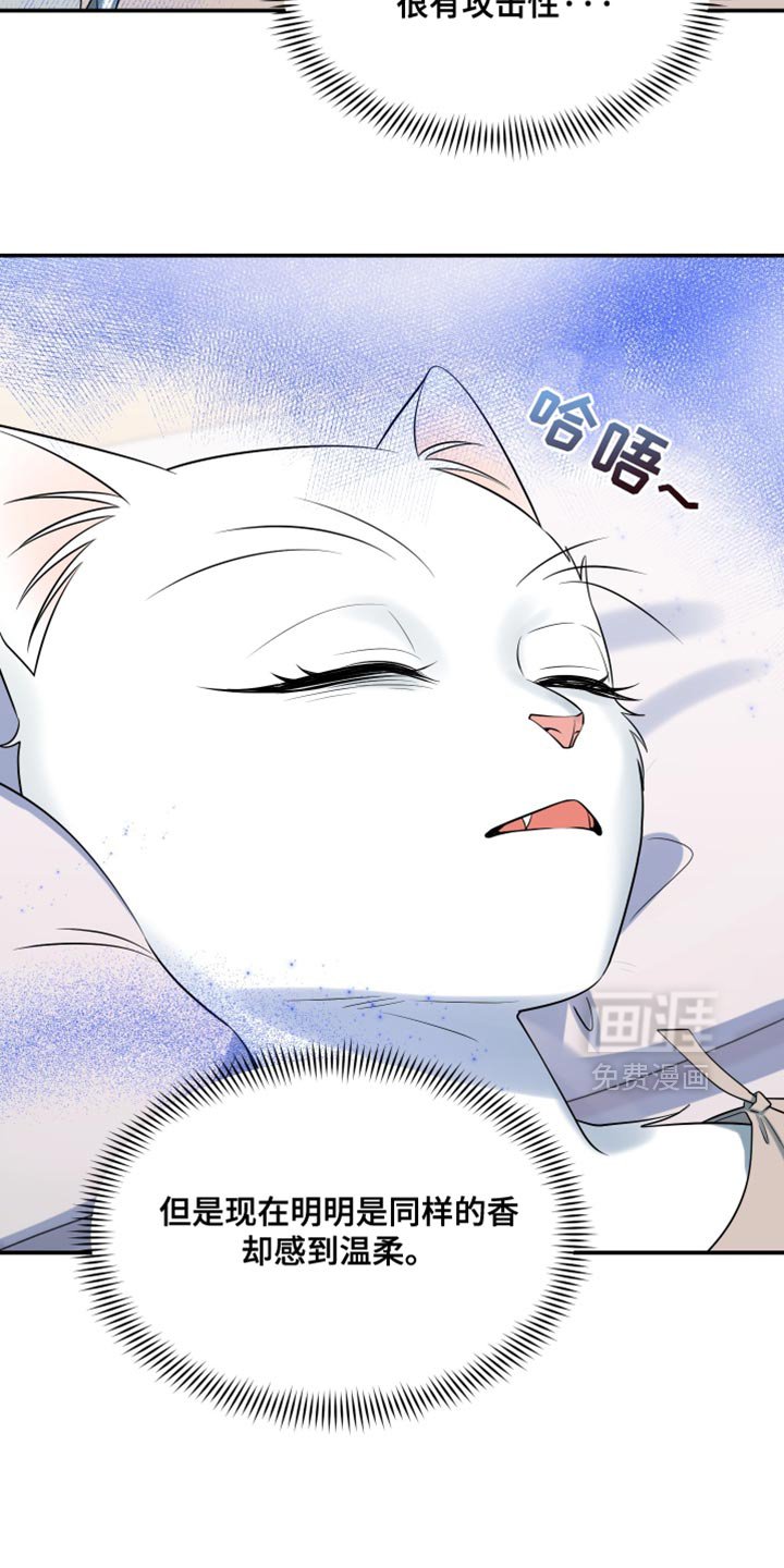第146章：【第三季】我对你充满期待