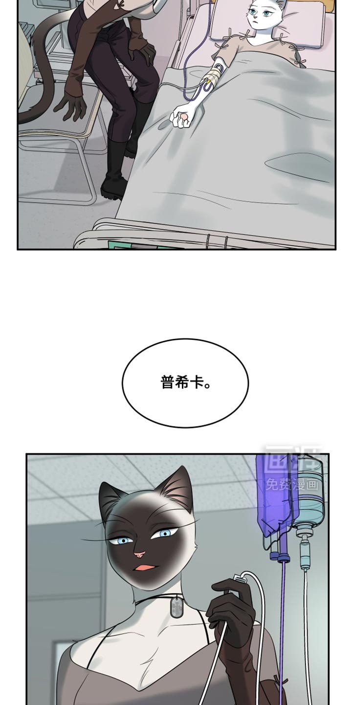 第146章：【第三季】我对你充满期待