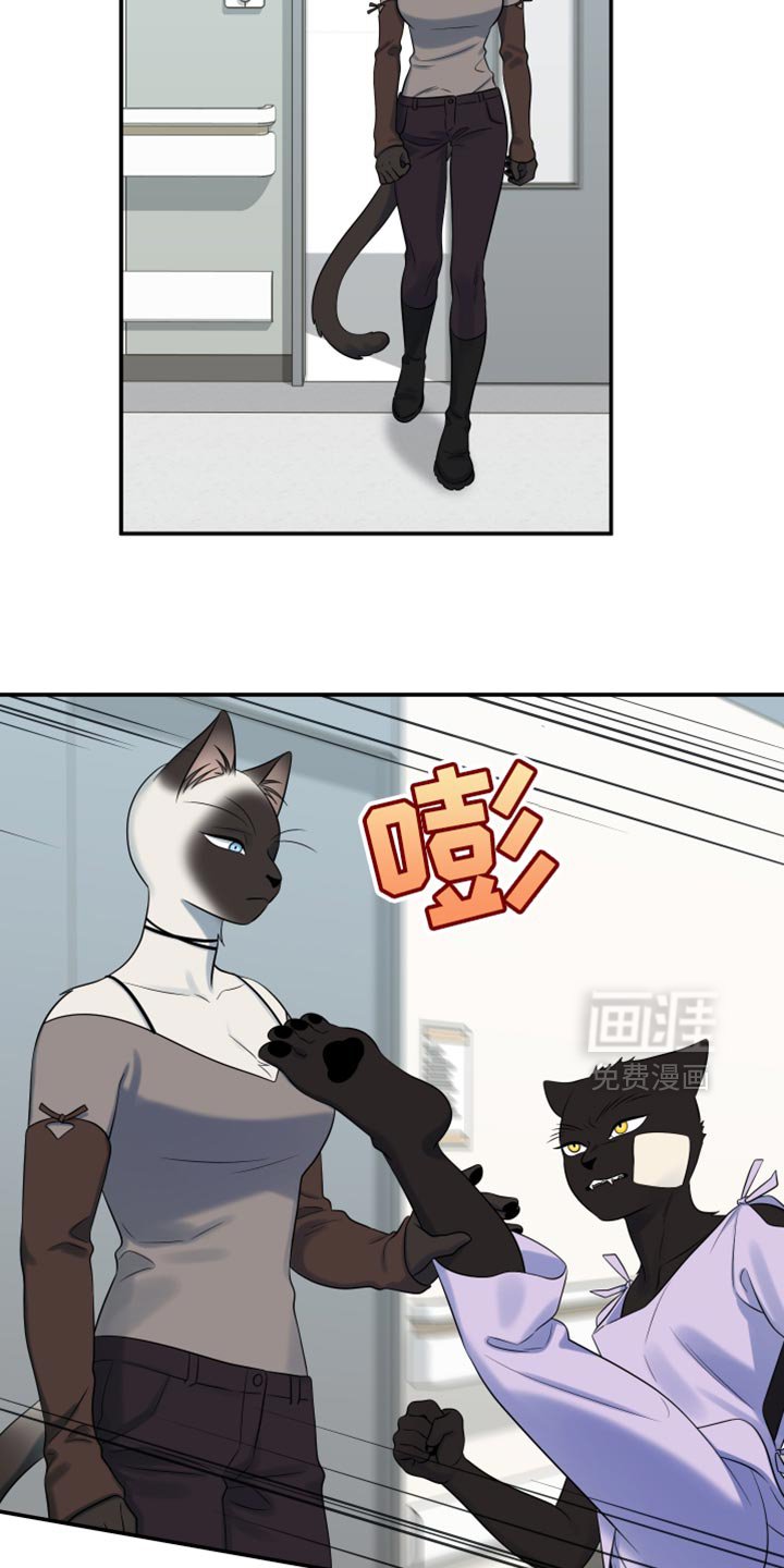 第146章：【第三季】我对你充满期待