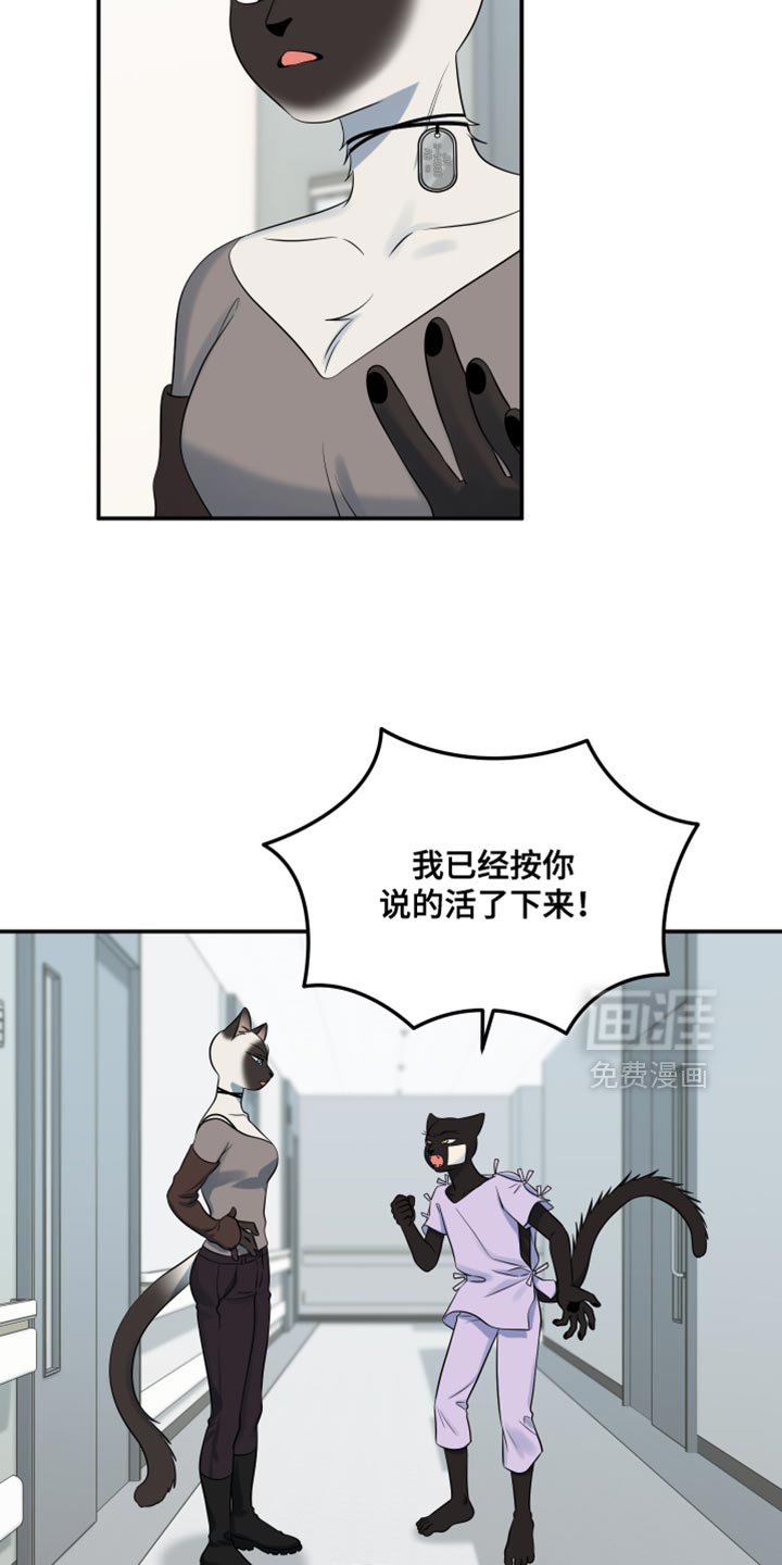 第146章：【第三季】我对你充满期待