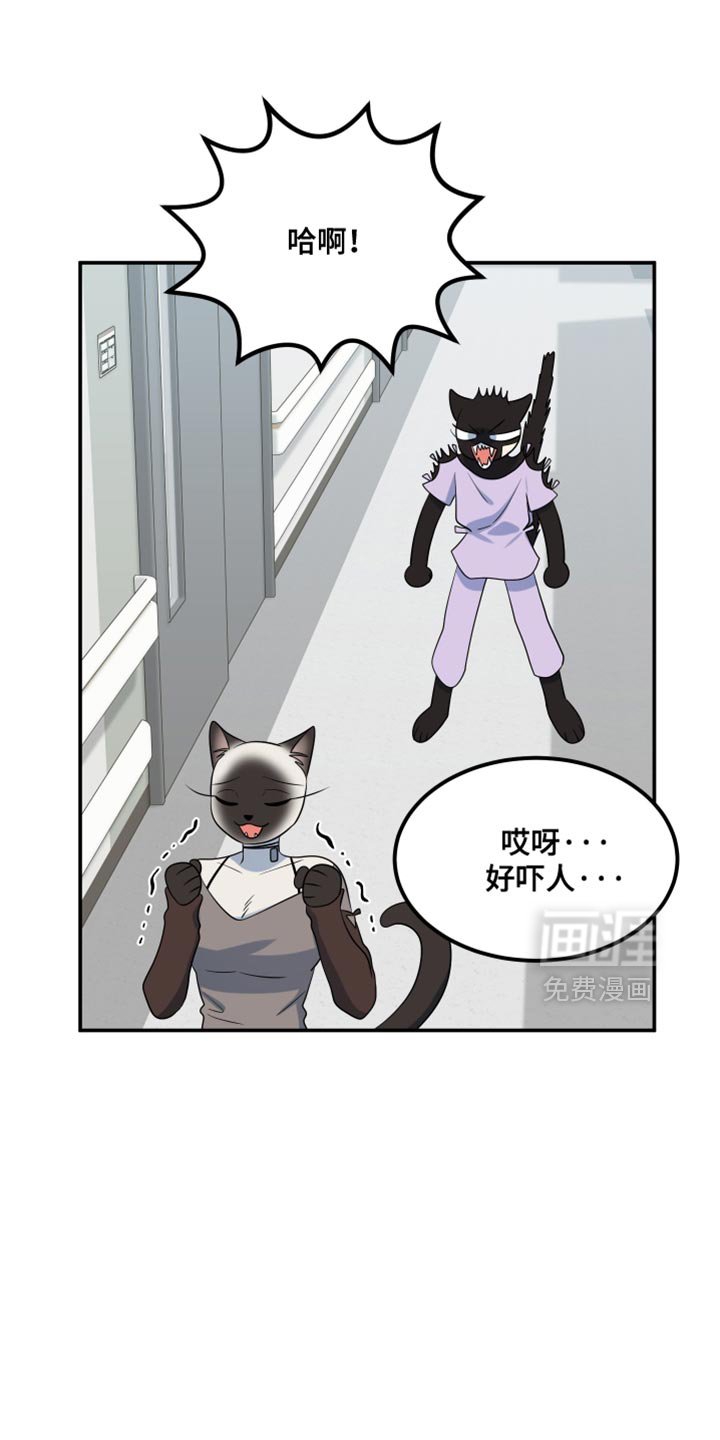 第147章：【第三季】候补队