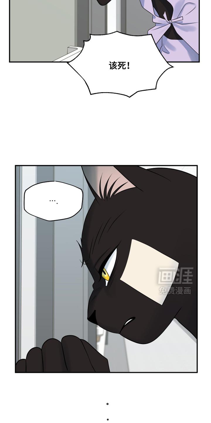 第147章：【第三季】候补队