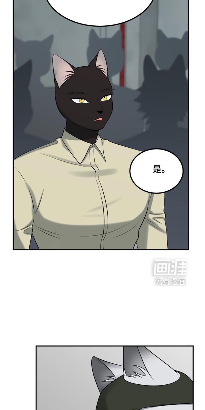 第147章：【第三季】候补队