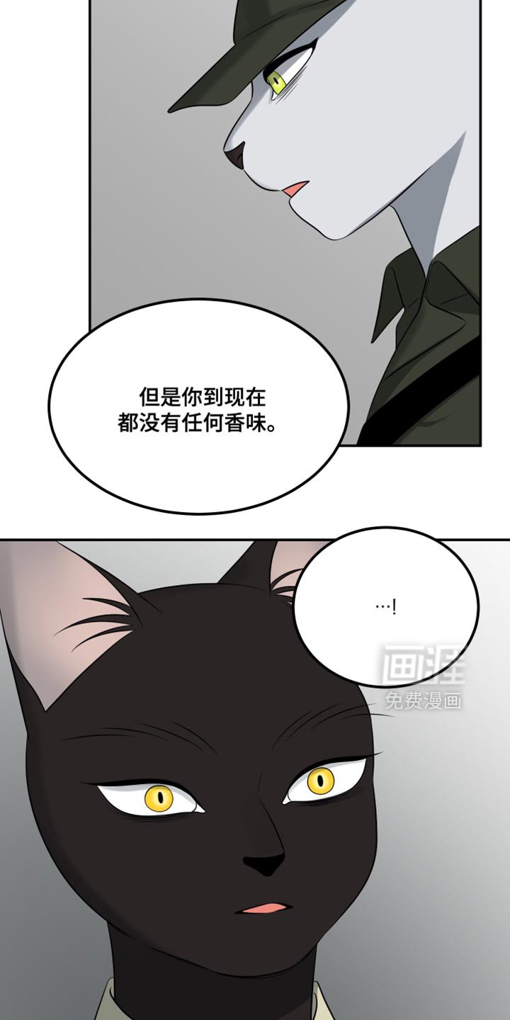 第147章：【第三季】候补队