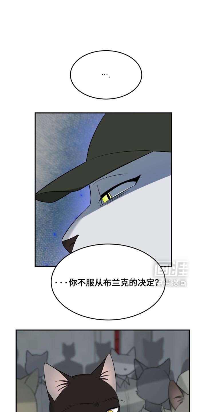 第147章：【第三季】候补队