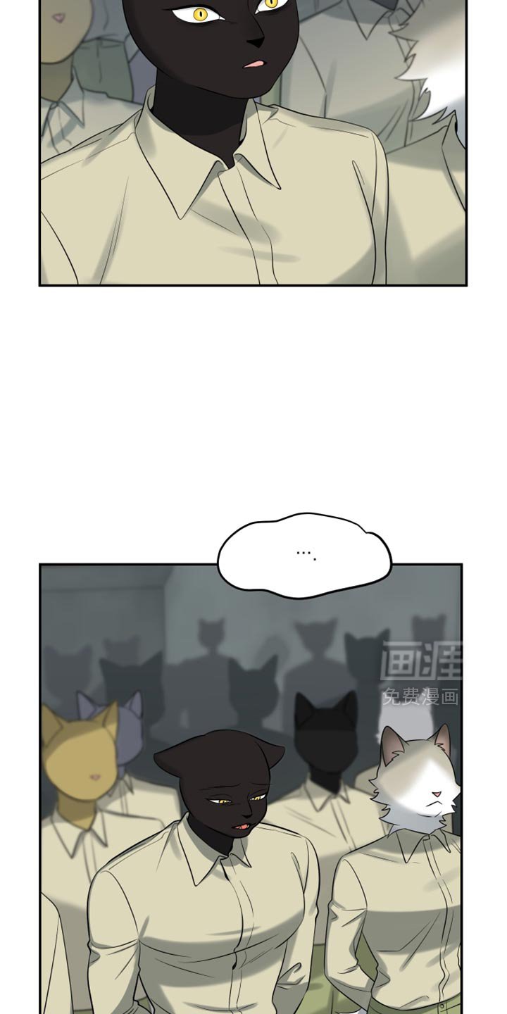 第147章：【第三季】候补队