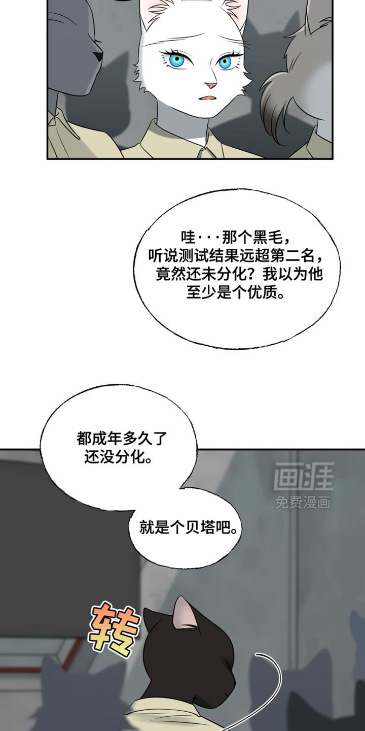 第147章：【第三季】候补队