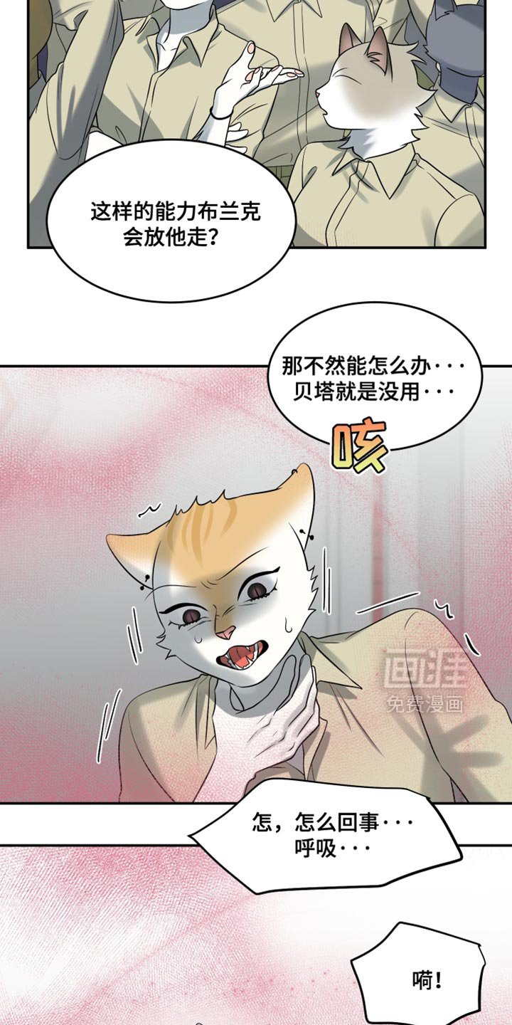 第147章：【第三季】候补队