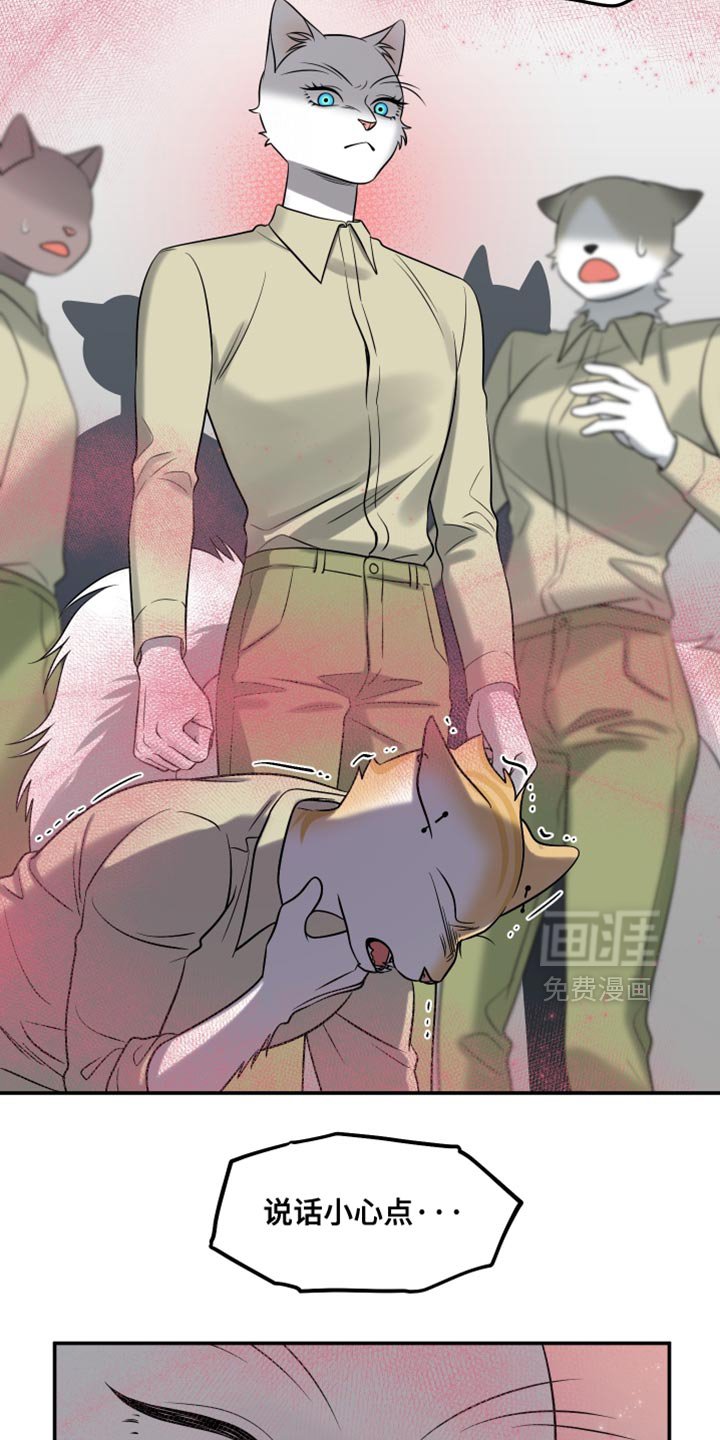 第147章：【第三季】候补队