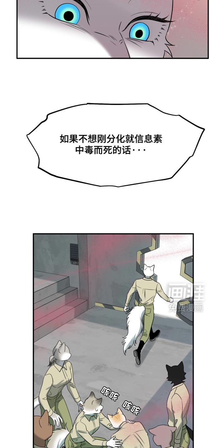 第147章：【第三季】候补队