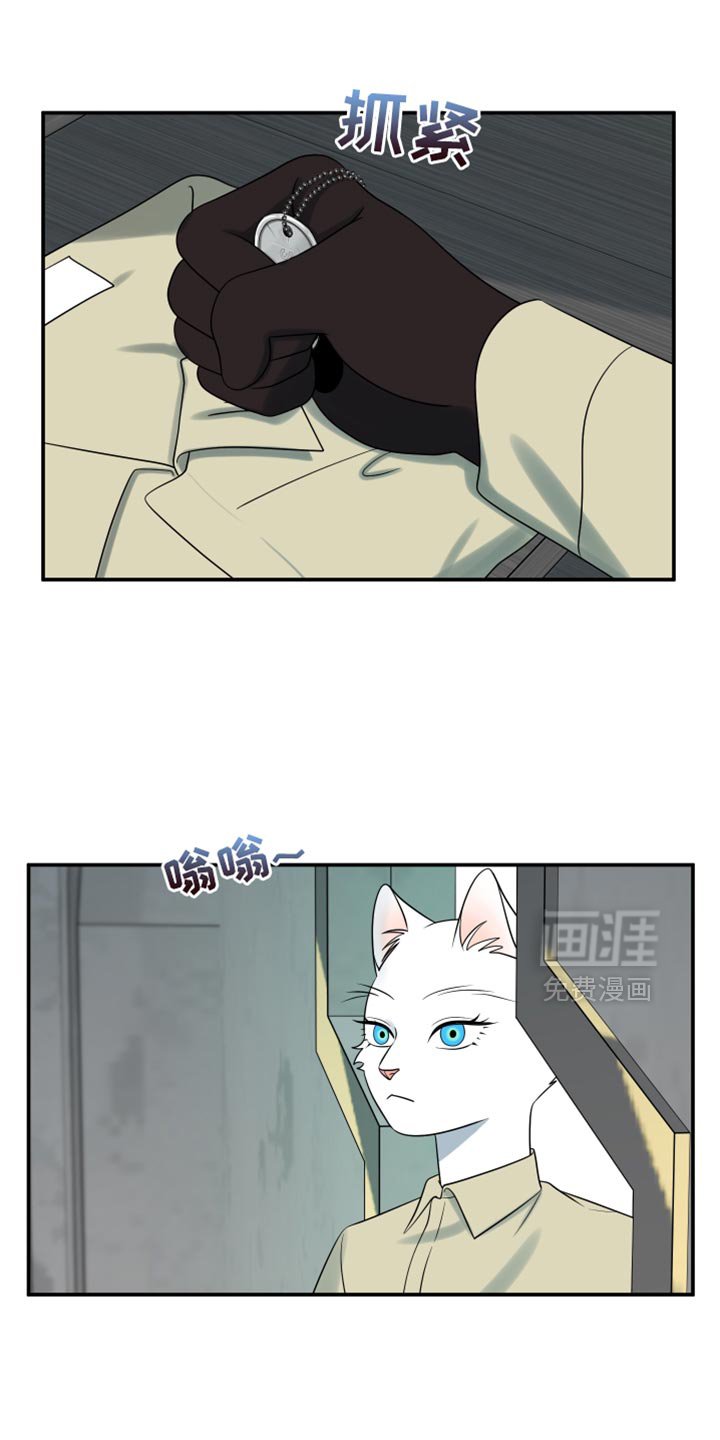 第148章：【第三季】我想知道