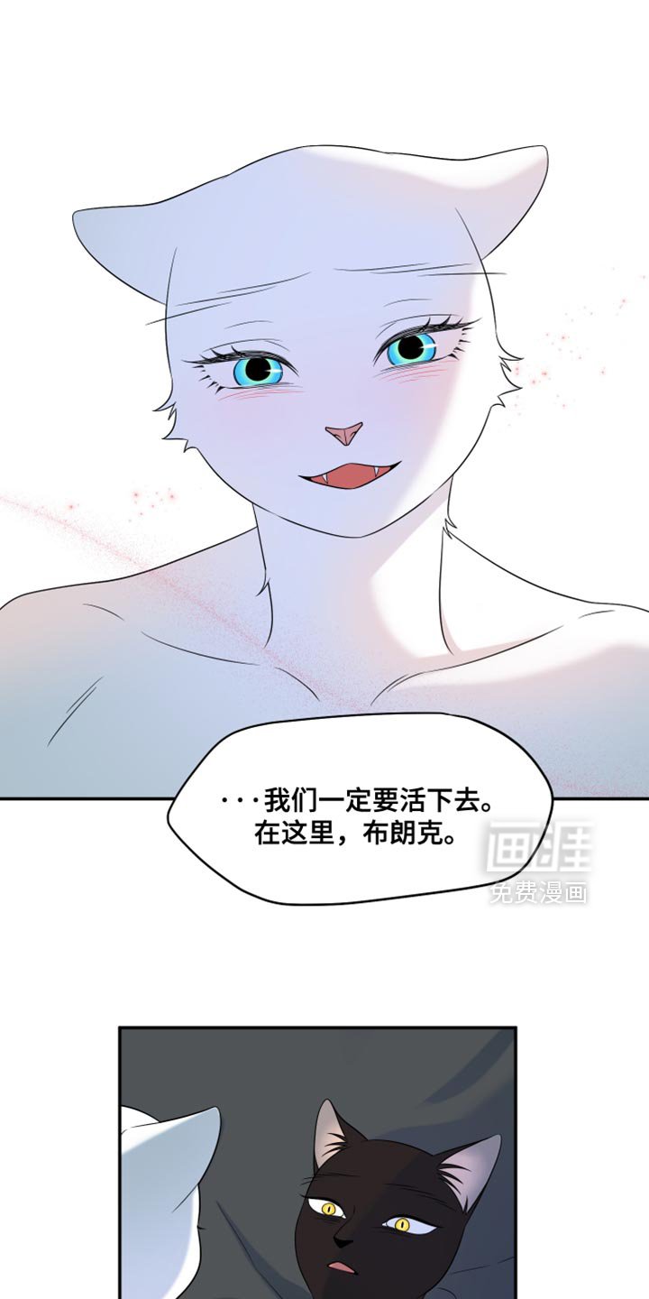 第148章：【第三季】我想知道