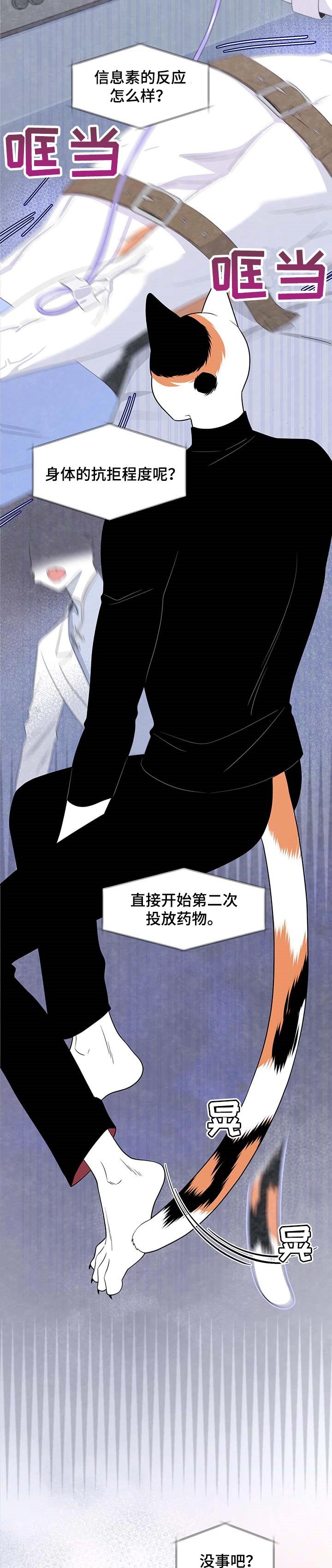 第15章：吃药
