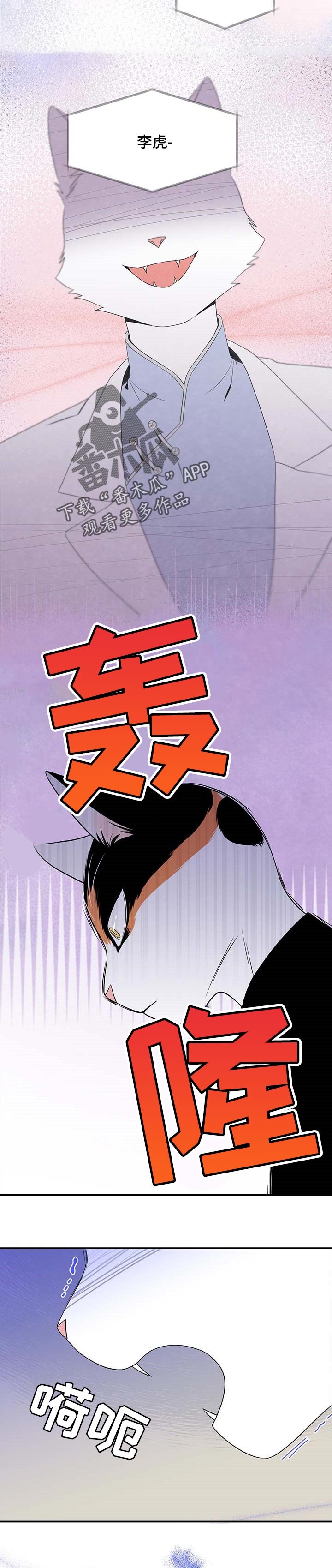 第15章：吃药