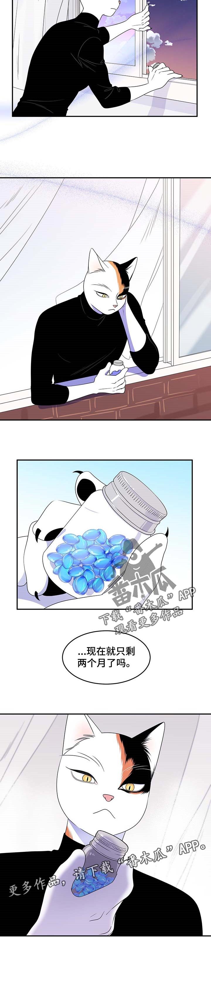 第15章：吃药