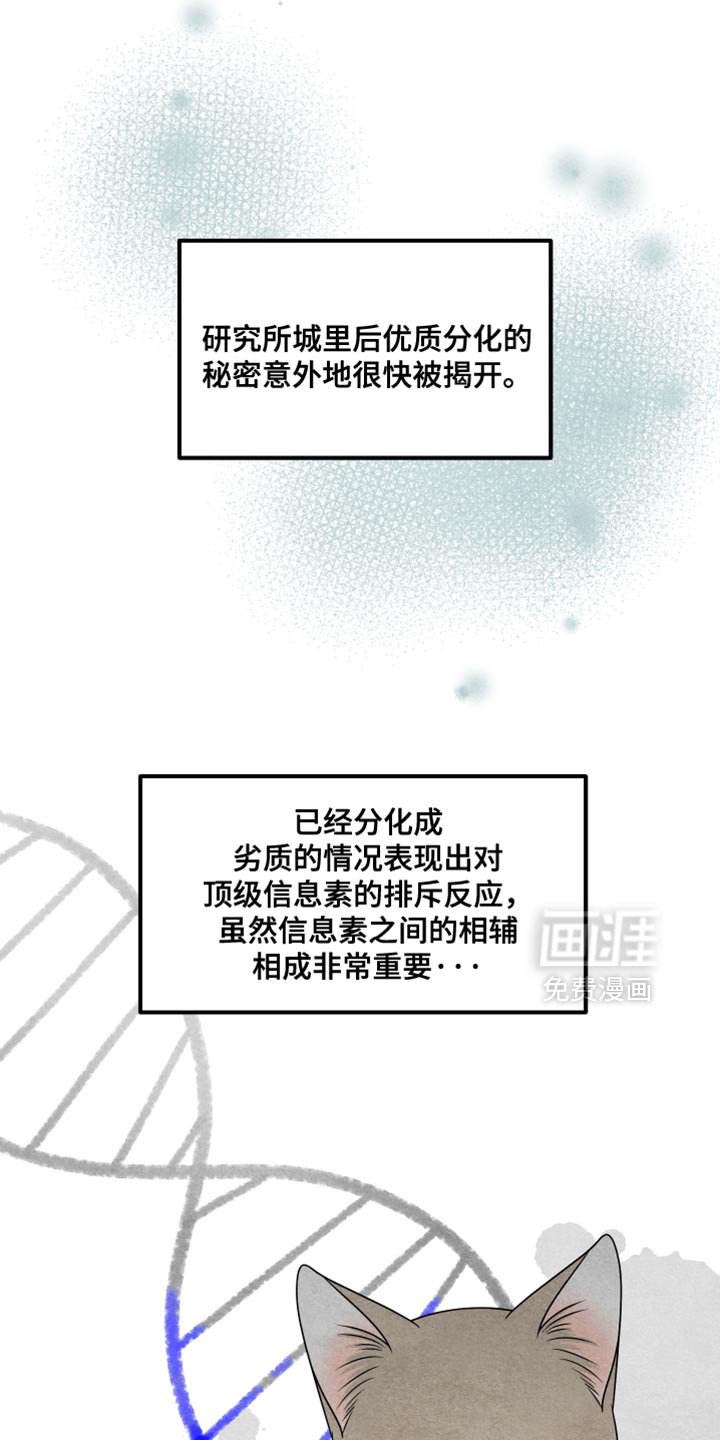 第152章：【第三季】适配者