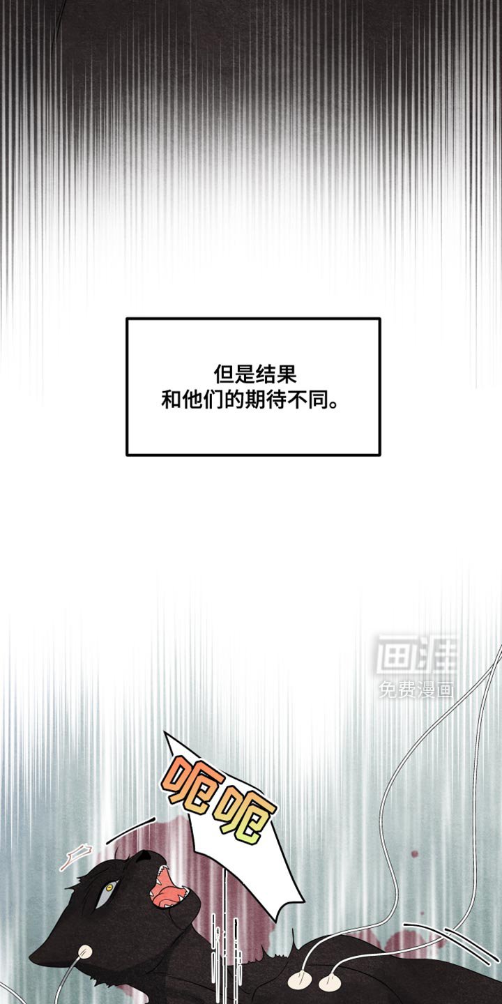 第152章：【第三季】适配者