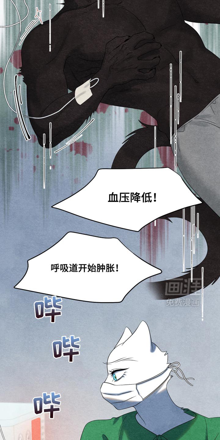 第152章：【第三季】适配者