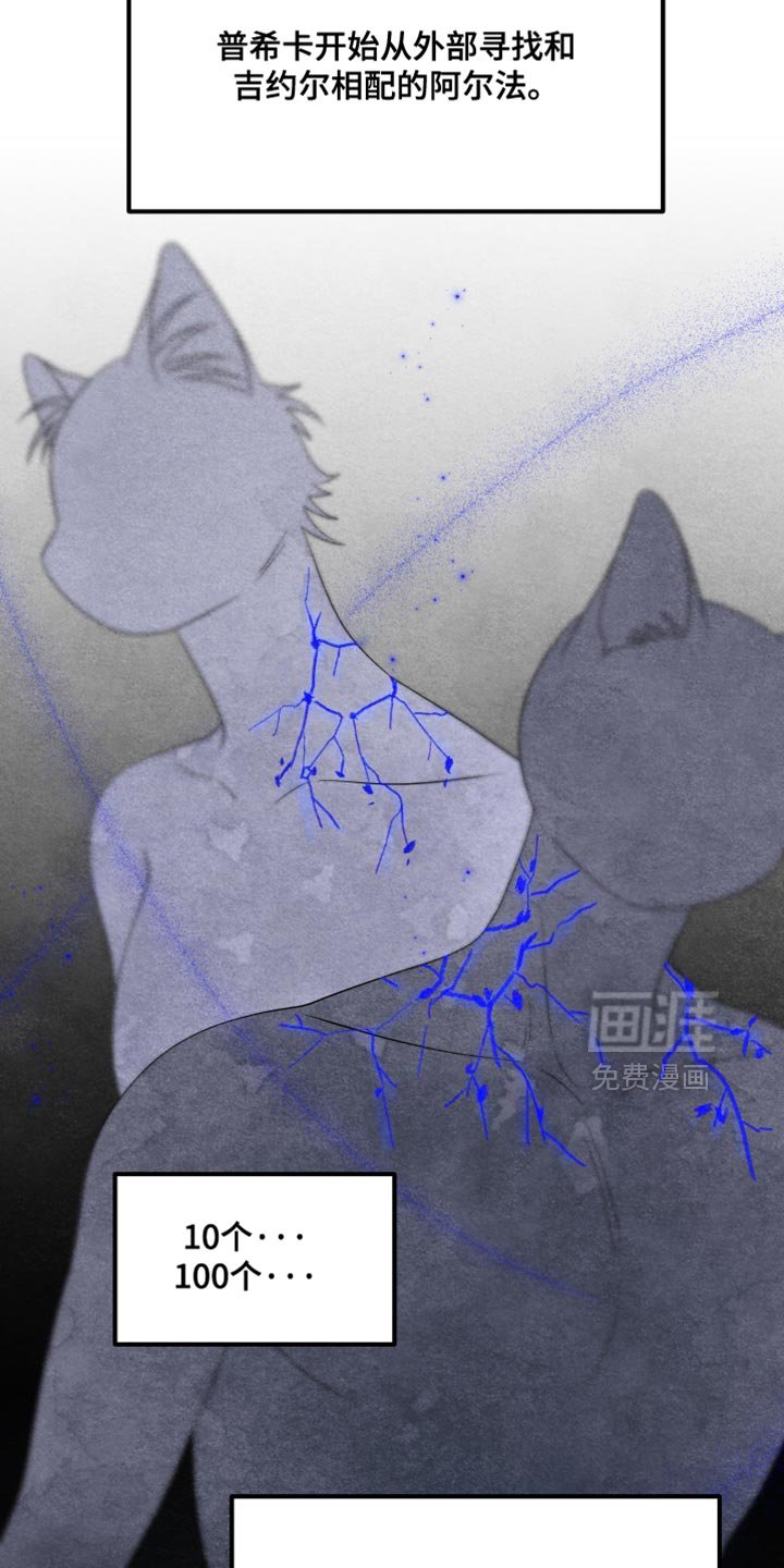 第152章：【第三季】适配者