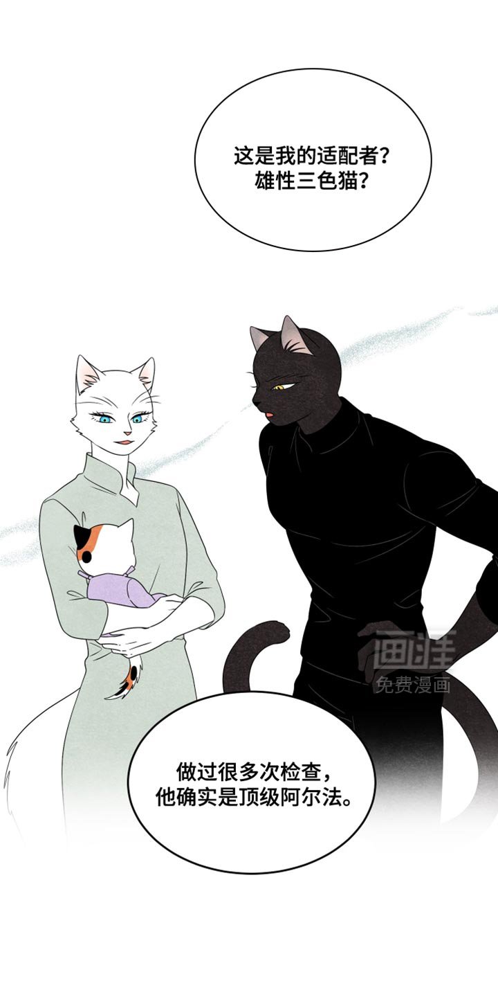 第153章：【第三季】别对他有感情