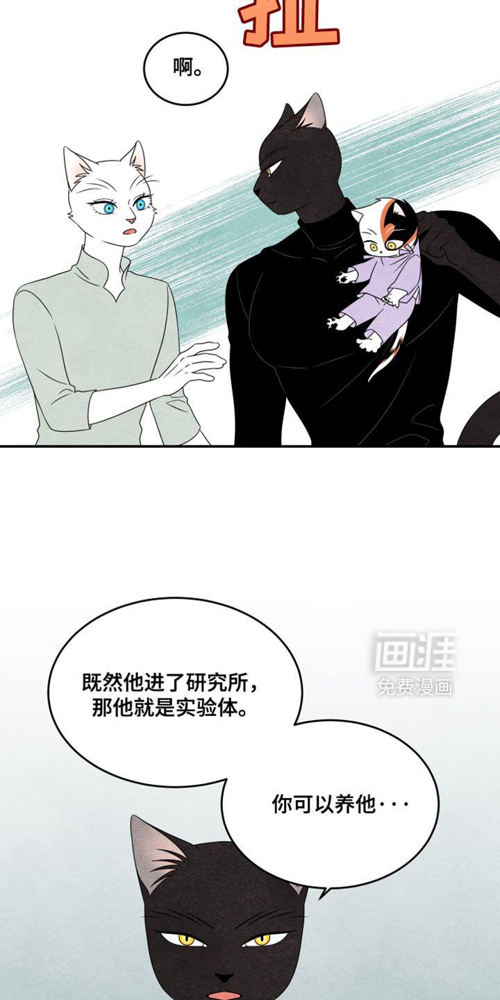 第153章：【第三季】别对他有感情