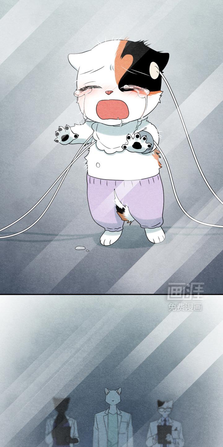 第153章：【第三季】别对他有感情
