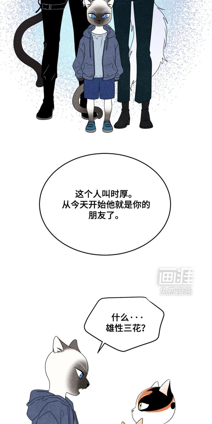 第154章：【第三季】证明你们的价值