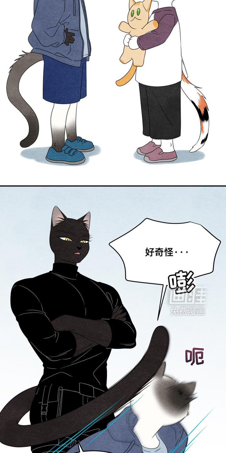 第154章：【第三季】证明你们的价值