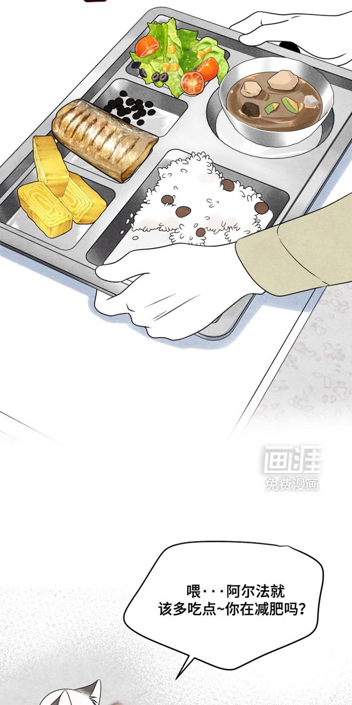 第155章：【第三季】冲动的行为