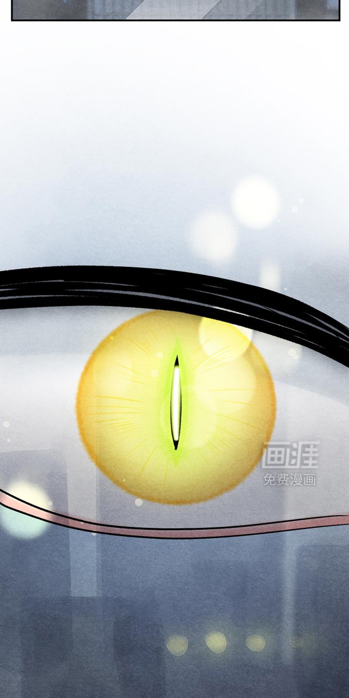 第155章：【第三季】冲动的行为